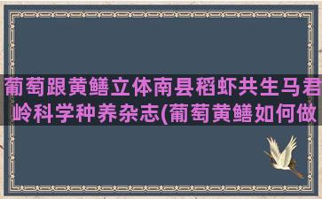 葡萄跟黄鳝立体南县稻虾共生马君岭科学种养杂志(葡萄黄鳝如何做立体养殖)