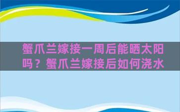 蟹爪兰嫁接一周后能晒太阳吗？蟹爪兰嫁接后如何浇水