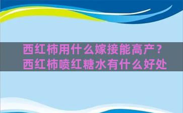 西红柿用什么嫁接能高产？西红柿喷红糖水有什么好处