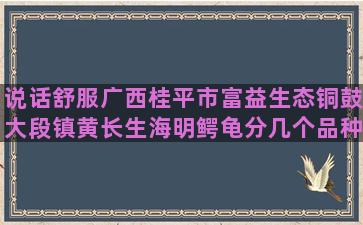 说话舒服广西桂平市富益生态铜鼓大段镇黄长生海明鳄龟分几个品种养多久下蛋