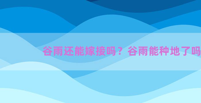 谷雨还能嫁接吗？谷雨能种地了吗