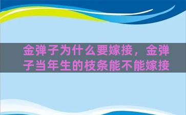 金弹子为什么要嫁接，金弹子当年生的枝条能不能嫁接