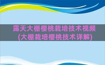 露天大棚樱桃栽培技术视频(大棚栽培樱桃技术详解)