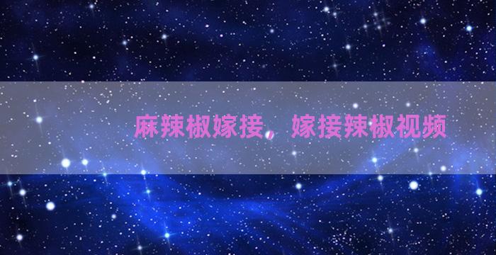 麻辣椒嫁接，嫁接辣椒视频