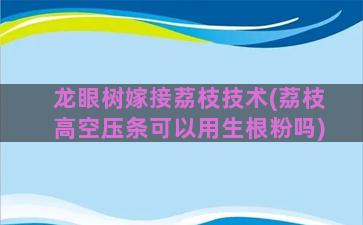 龙眼树嫁接荔枝技术(荔枝高空压条可以用生根粉吗)